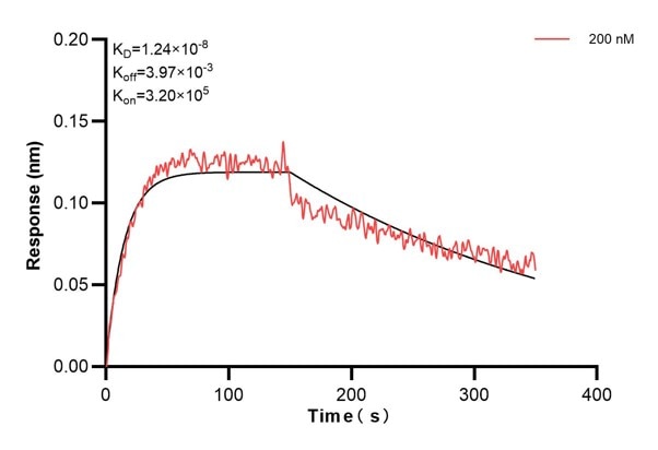 Affinity and Kinetic Characterization of 68934-1-PBS