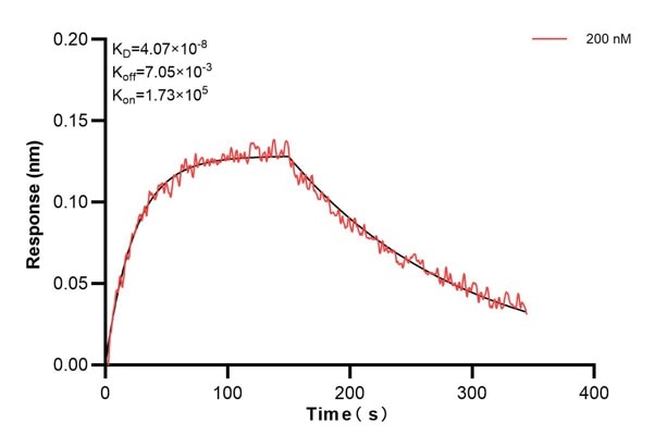Affinity and Kinetic Characterization of 68944-1-PBS