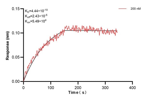Affinity and Kinetic Characterization of 68973-2-PBS