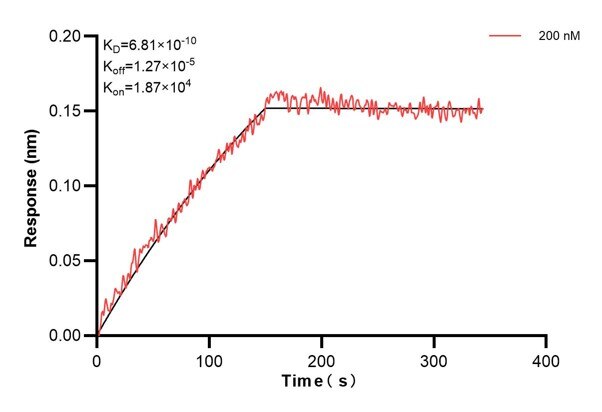 Affinity and Kinetic Characterization of 68973-3-PBS