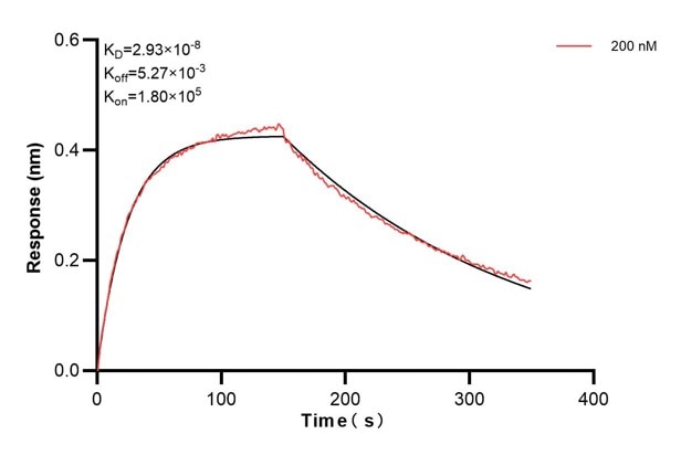 Affinity and Kinetic Characterization of 68983-1-PBS