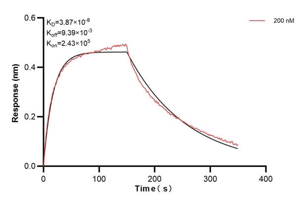 Affinity and Kinetic Characterization of 68983-2-PBS
