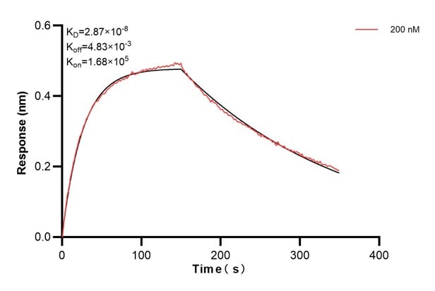 Affinity and Kinetic Characterization of 68983-3-PBS