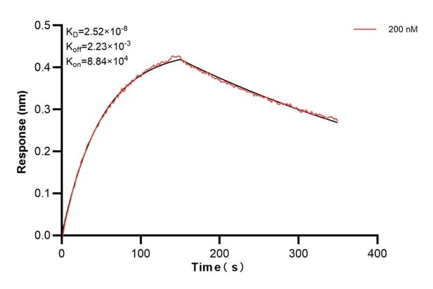 Affinity and Kinetic Characterization of 68983-4-PBS