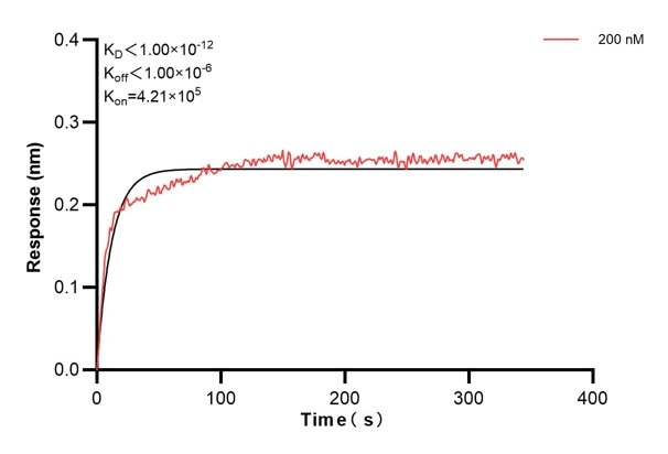 Affinity and Kinetic Characterization of 68993-2-PBS