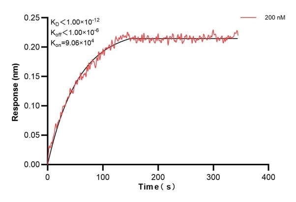 Affinity and Kinetic Characterization of 68993-3-PBS