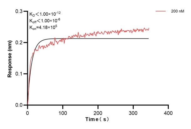 Affinity and Kinetic Characterization of 68993-4-PBS