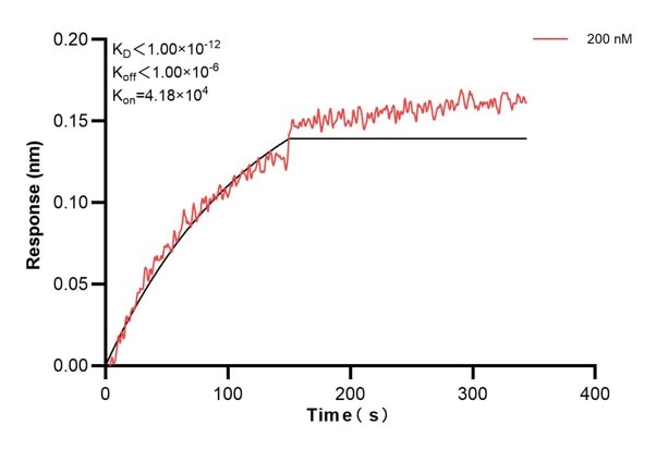 Affinity and Kinetic Characterization of 68993-5-PBS