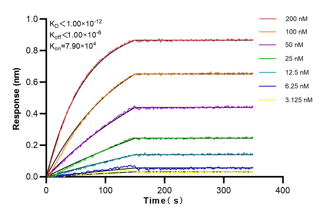 Affinity and Kinetic Characterization of 80002-1-PBS