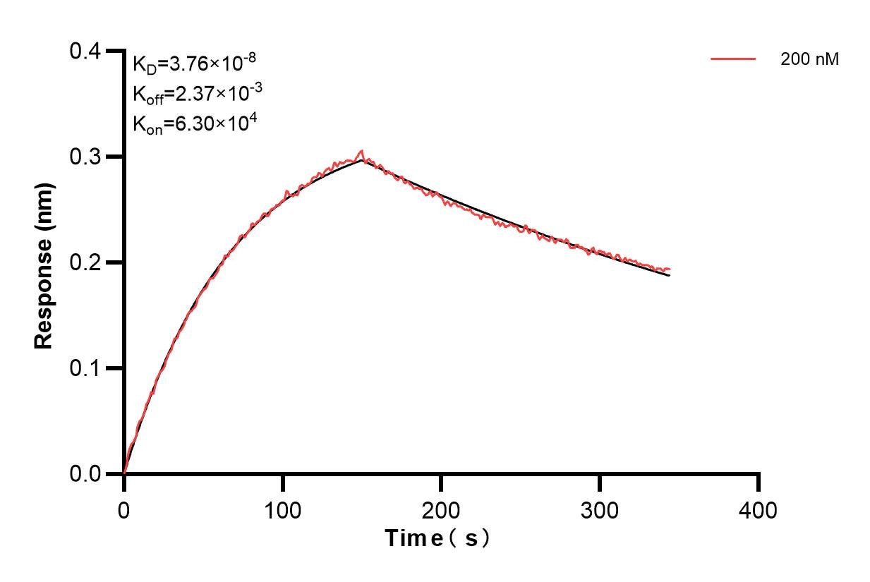 Affinity of 80006-1-PBS