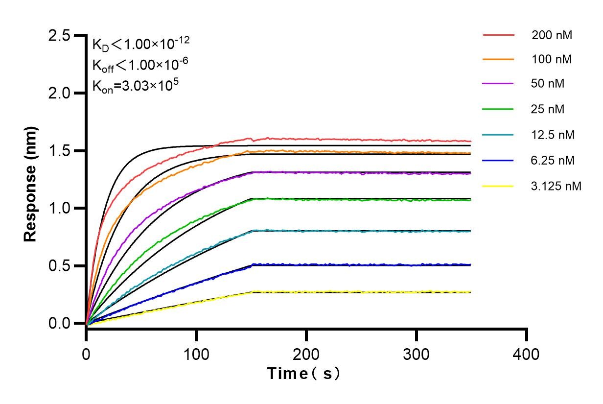Affinity and Kinetic Characterization of 80019-1-PBS