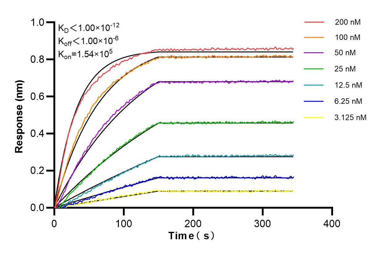 Affinity and Kinetic Characterization of 80061-5-RR