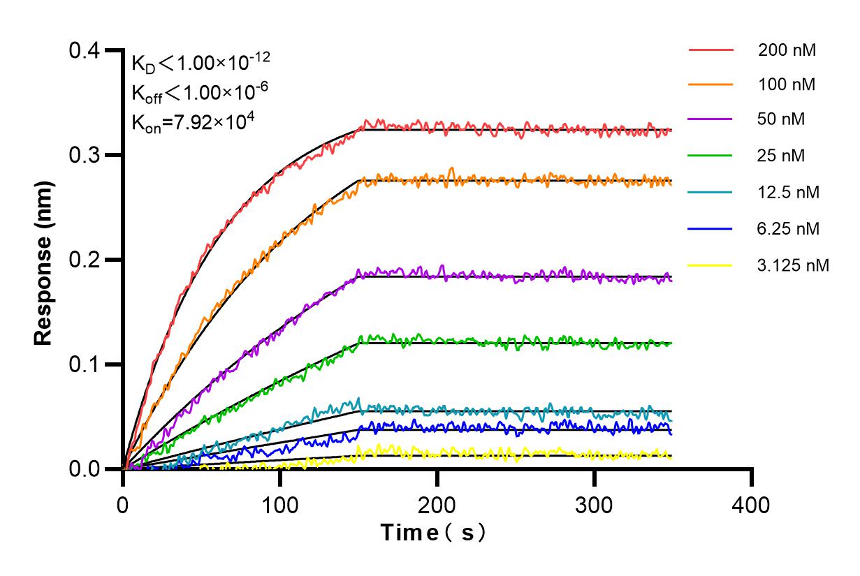 Affinity and Kinetic Characterization of 80258-3-PBS