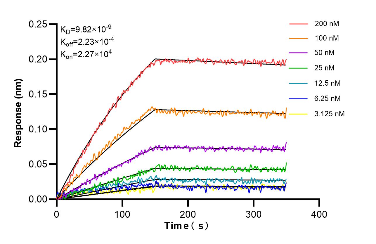 Biolayer interferometry (BLl) kinetic assays of 80260-2-RR against Mouse TNF-alpha were performed. The affinity constant is 9.82 nM. Affinity and Kinetic Characterization of 80260-2-RR