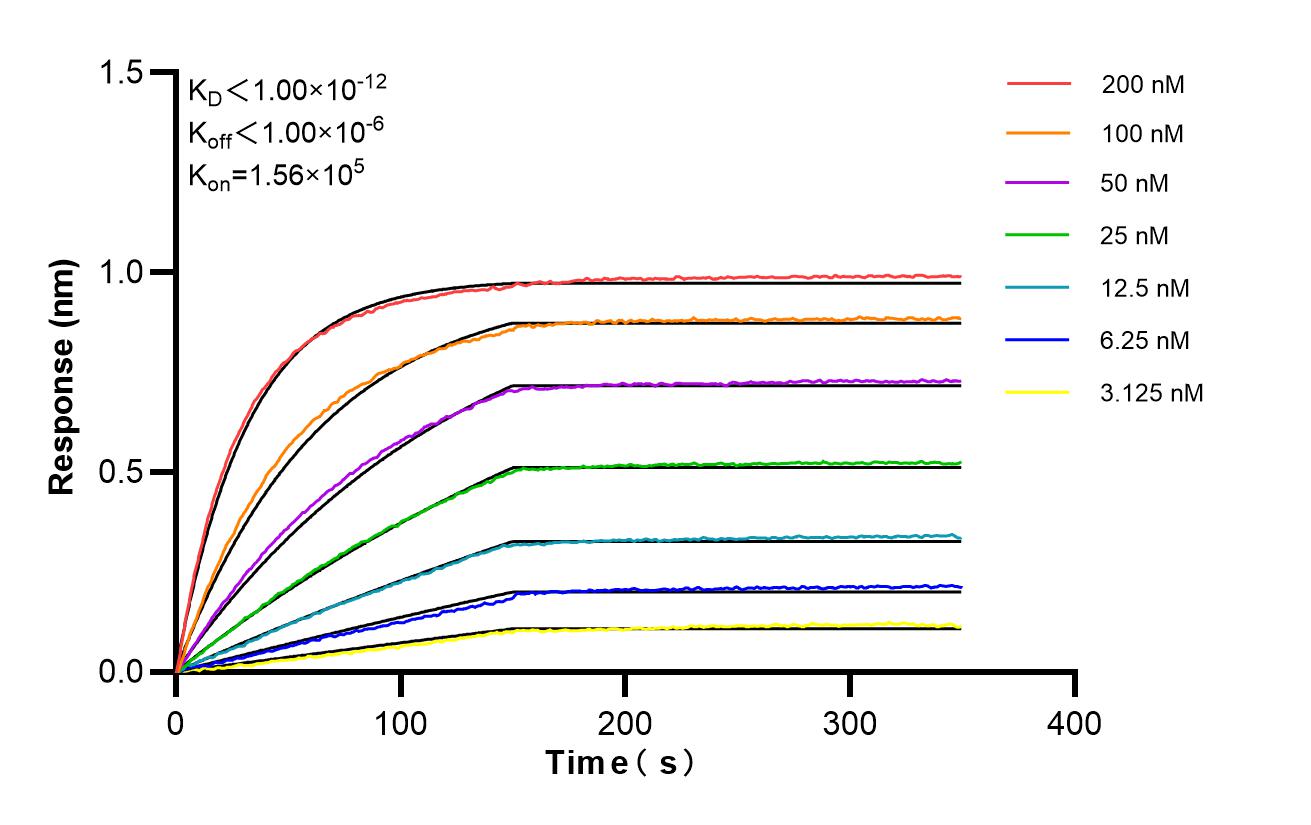 Biolayer interferometry (BLl) kinetic assays of 80260-7-PBS against Mouse TNF-alpha were performed. The affinity constant is below 1 pM. Affinity of 80260-7-PBS