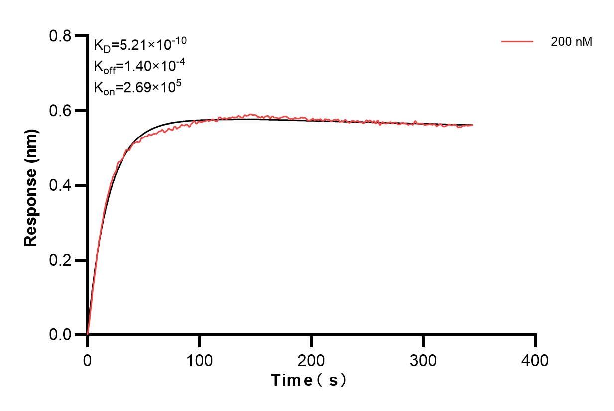 Affinity and Kinetic Characterization of 80362-4-PBS