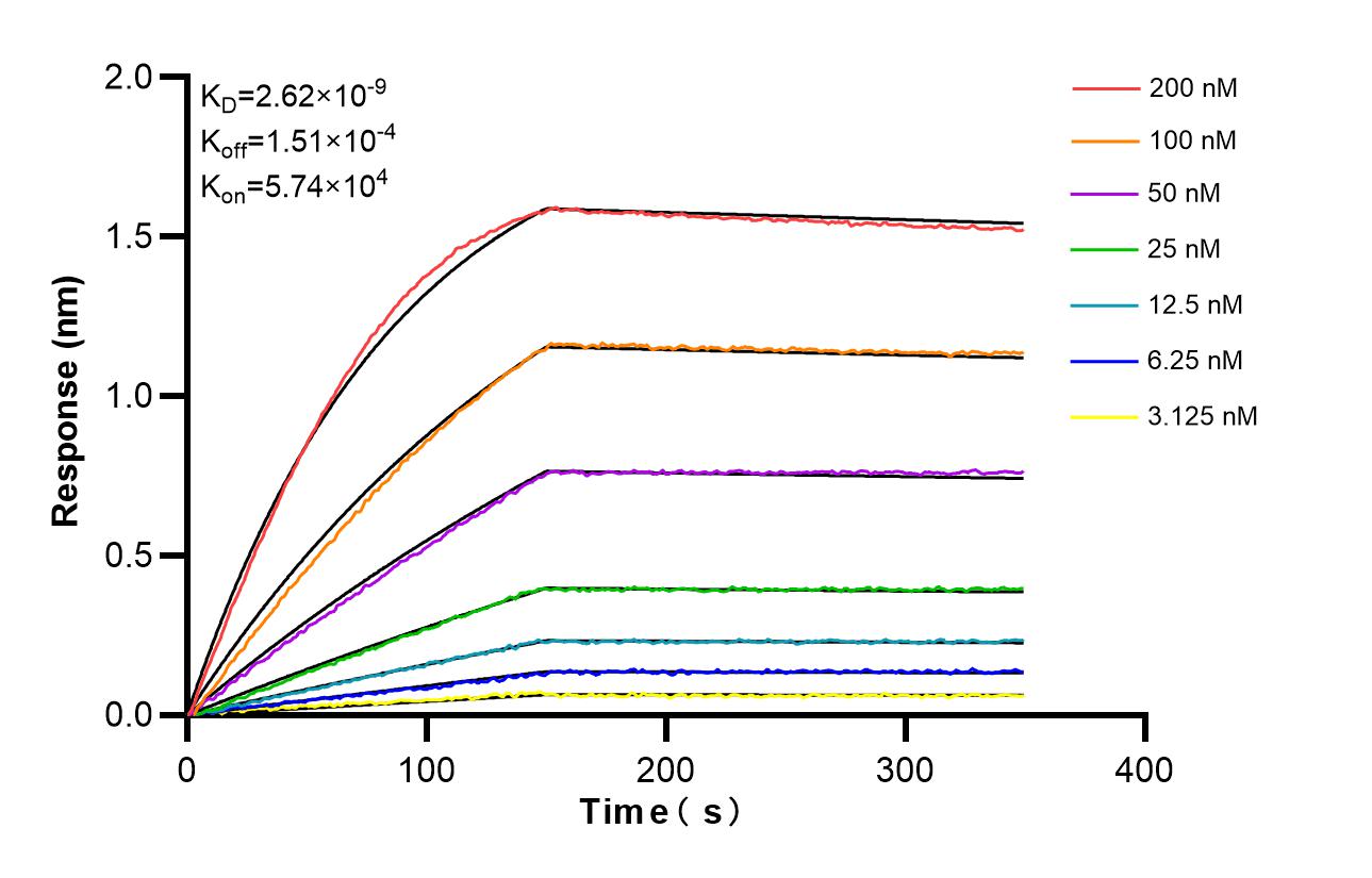 Affinity and Kinetic Characterization of 80805-3-RR Affinity and Kinetic Characterization of 80805-3-RR