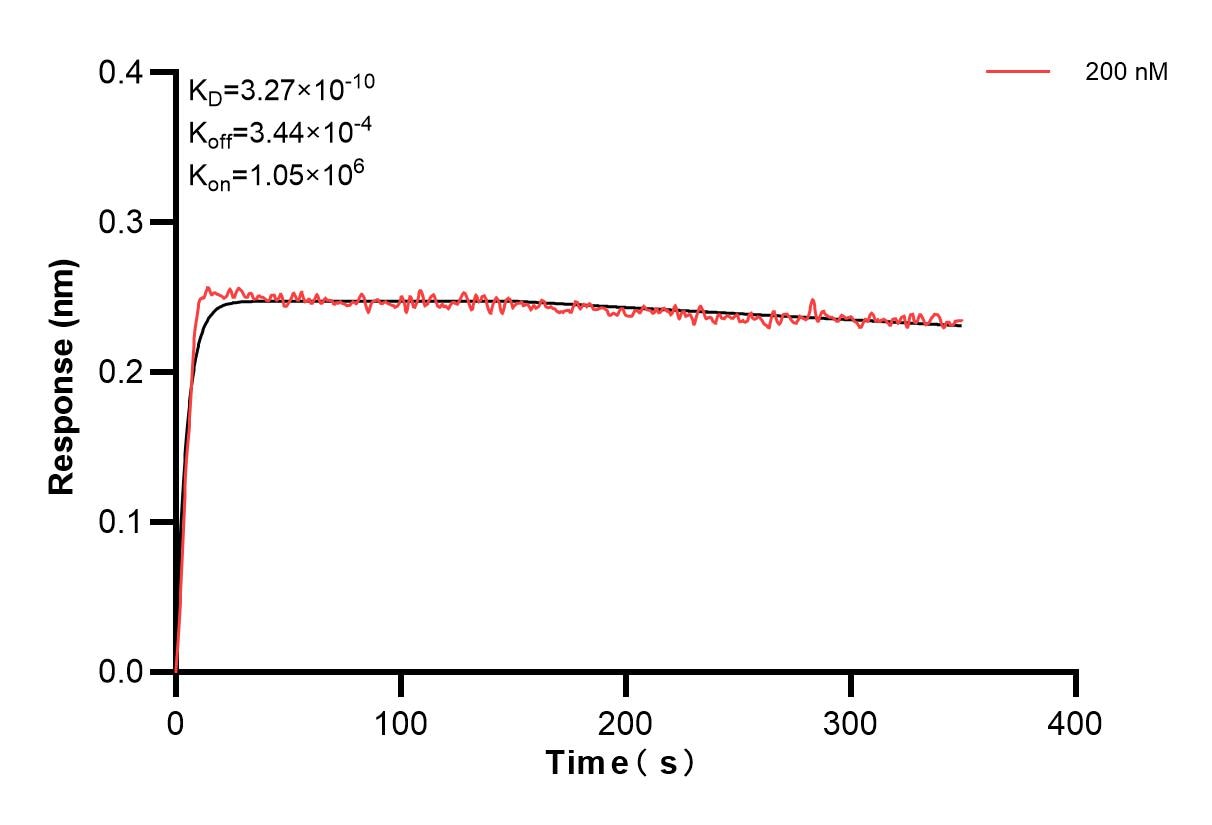 Affinity and Kinetic Characterization of 80847-5-PBS