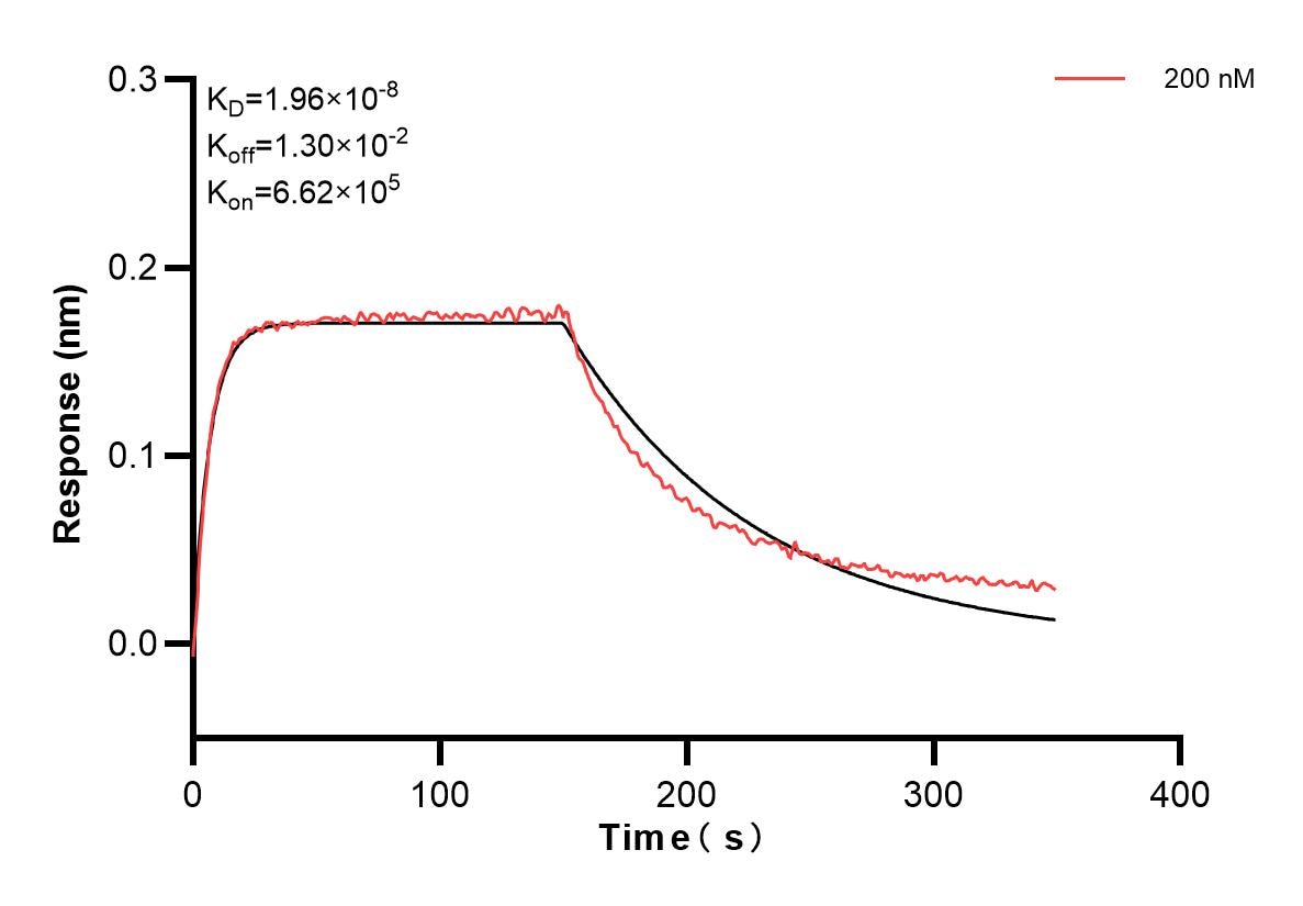 Affinity and Kinetic Characterization of 80847-6-PBS