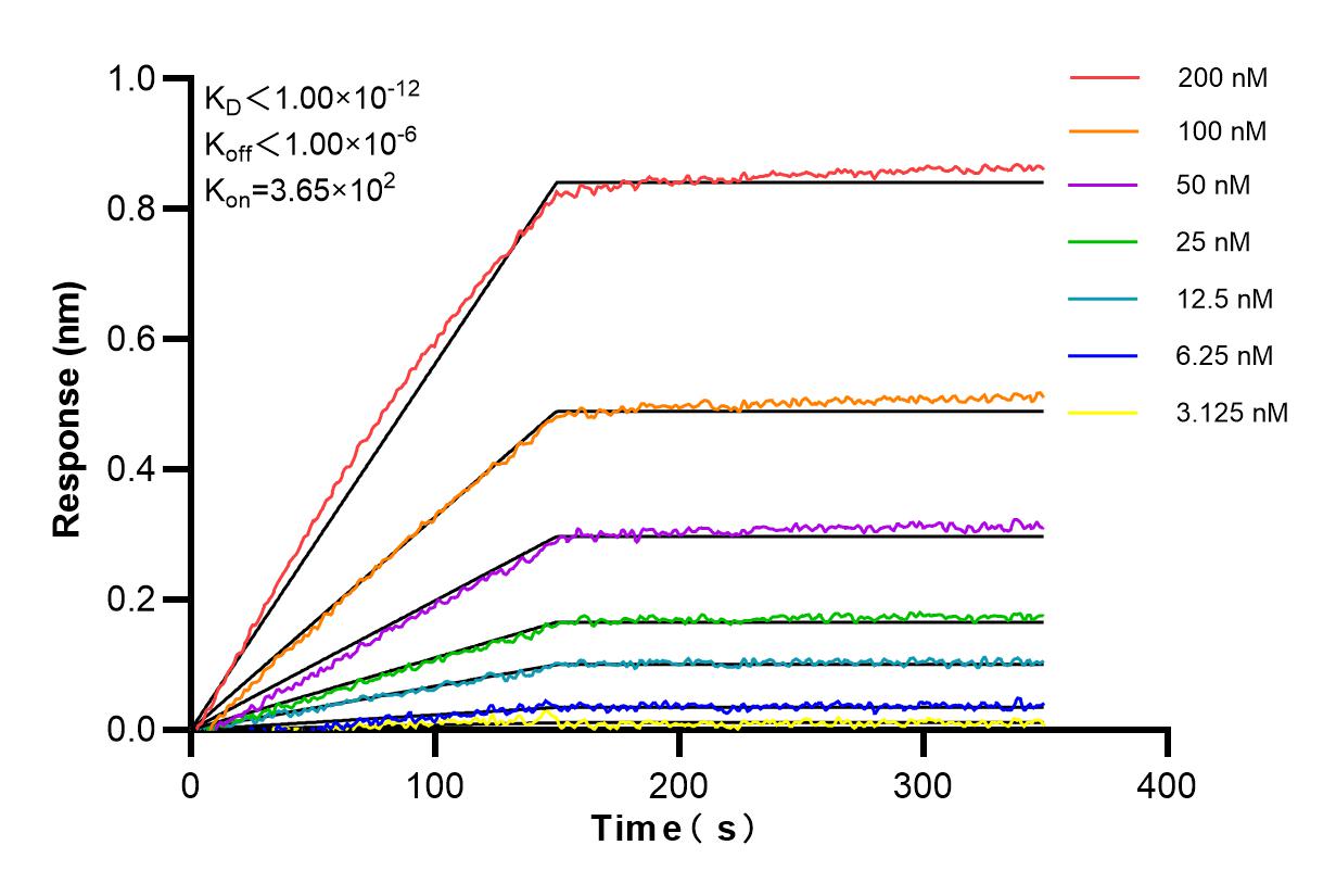 Affinity and Kinetic Characterization of 80855-2-PBS