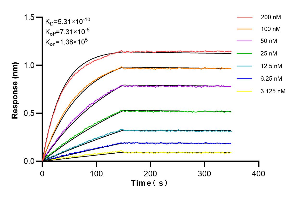 Affinity and Kinetic Characterization of 80855-3-PBS