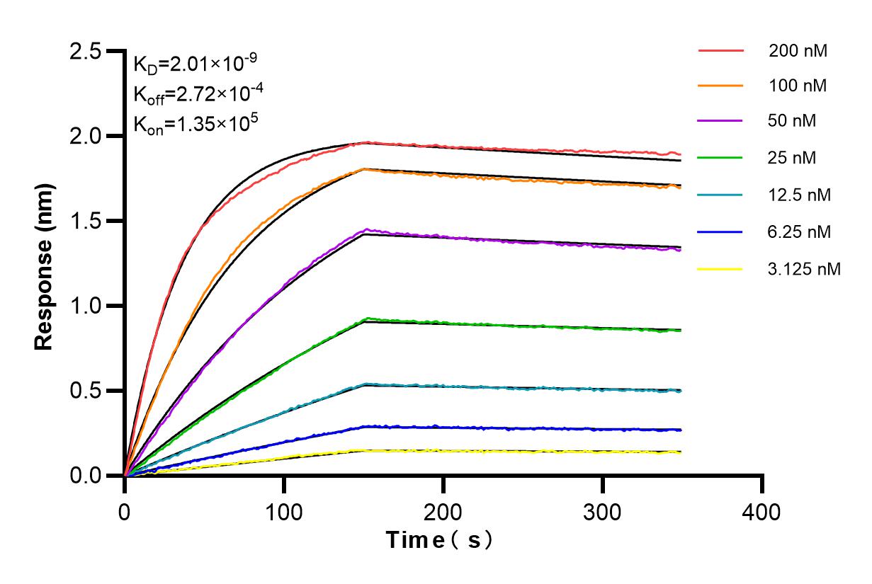 Affinity and Kinetic Characterization of 80855-4-PBS