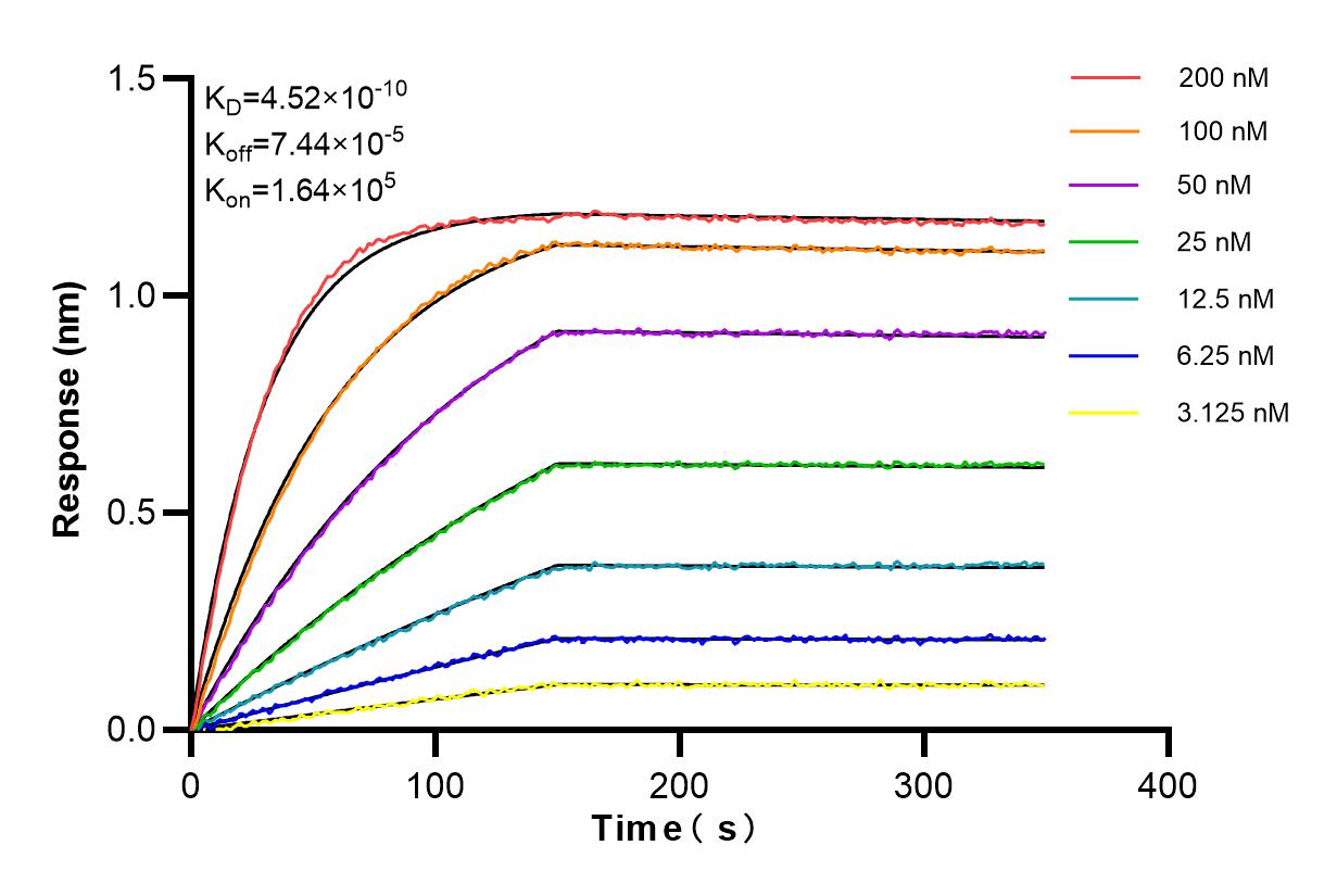 Affinity and Kinetic Characterization of 80855-5-PBS