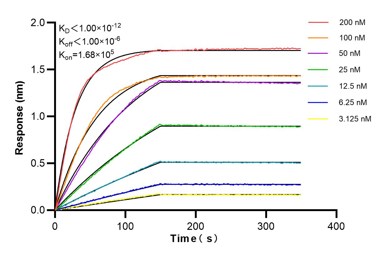 Affinity and Kinetic Characterization of 80855-6-PBS