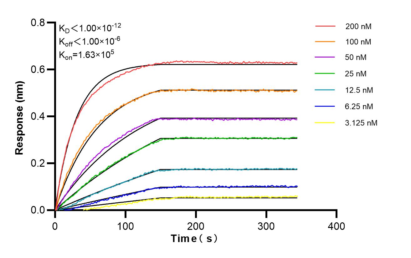 Affinity of 80928-2-RR
