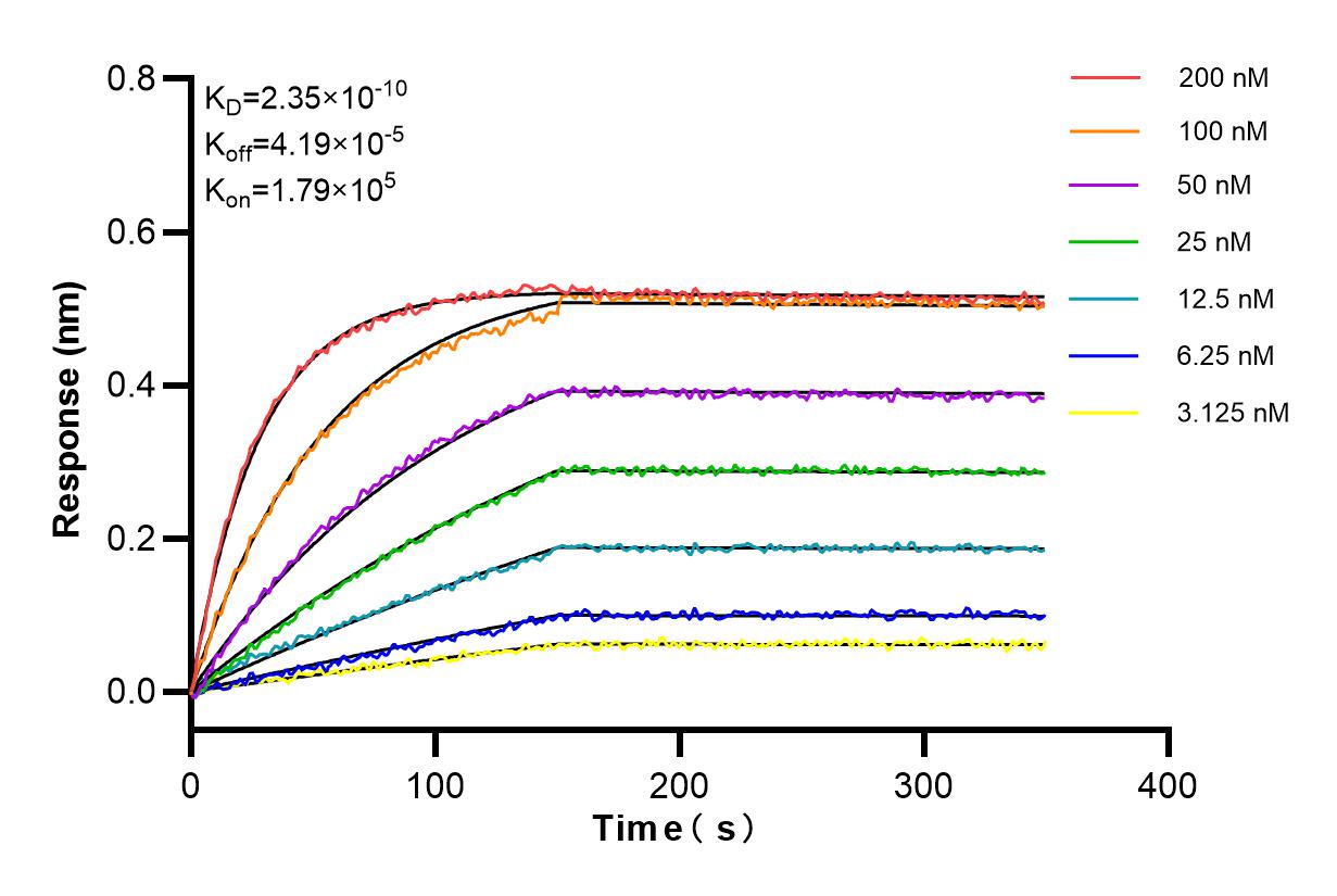Affinity and Kinetic Characterization of 80933-1-PBS