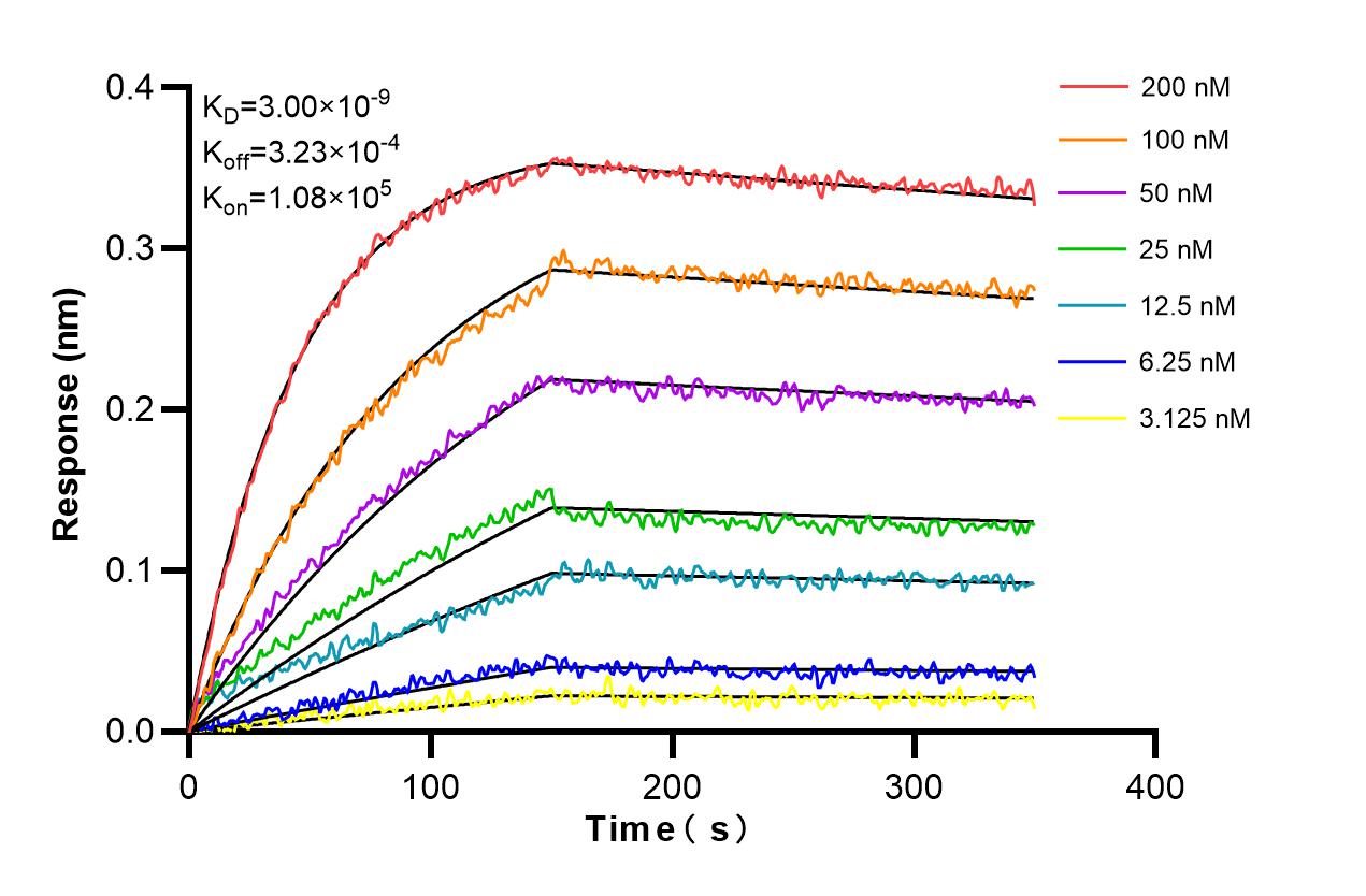 Biolayer interferometry (BLl) kinetic assays of 81078-6-RR against Human HVEM/TNFRSF14 were performed. The affinity constant is 3.00 nM. Affinity and Kinetic Characterization of 81078-6-RR