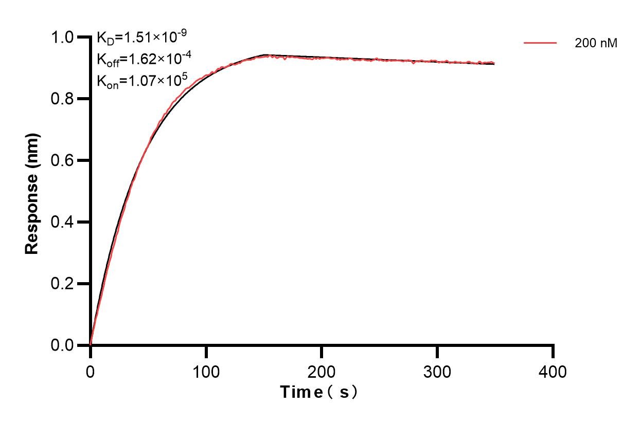 Affinity and Kinetic Characterization of 81334-3-PBS