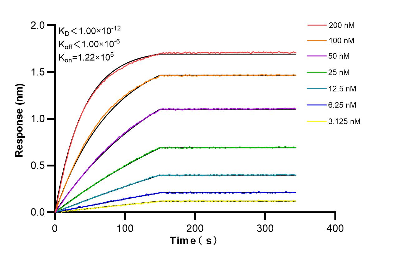 Affinity and Kinetic Characterization of 81490-5-RR