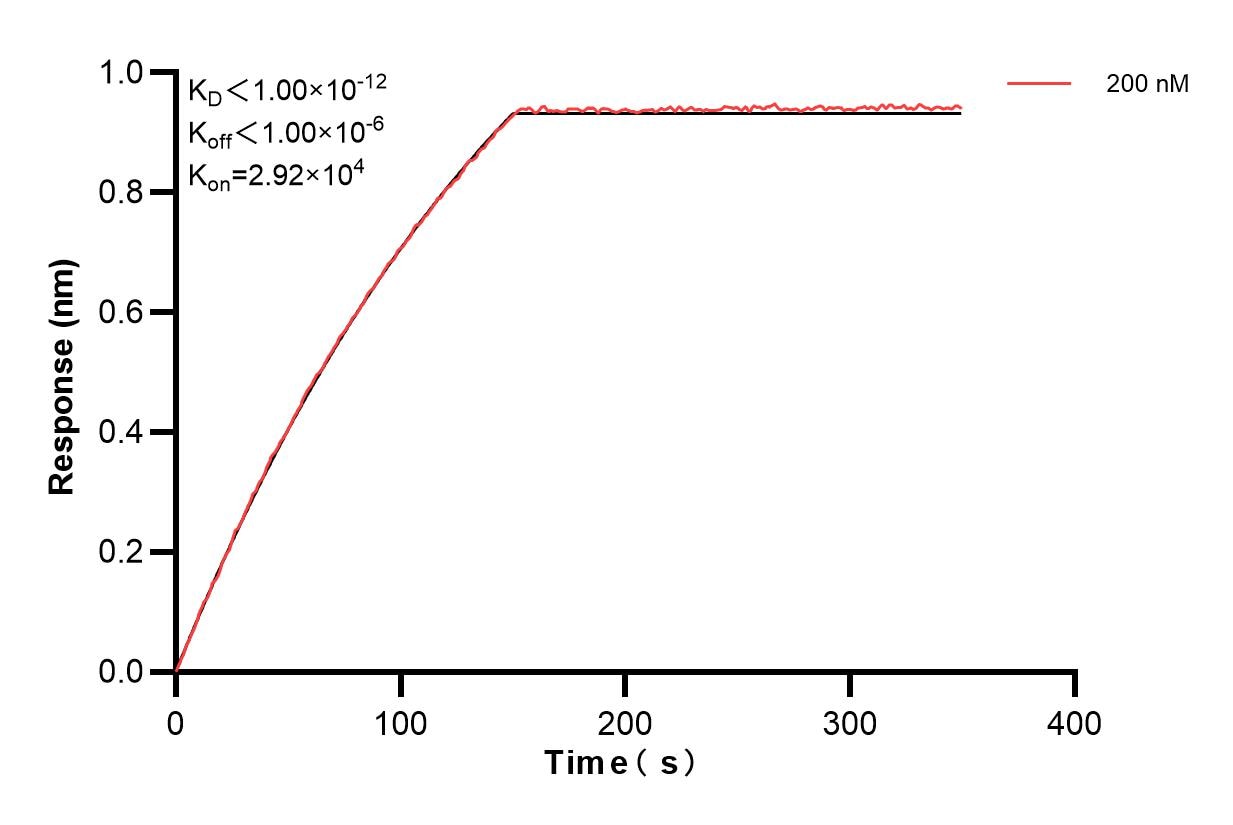 Affinity and Kinetic Characterization of 81490-7-PBS