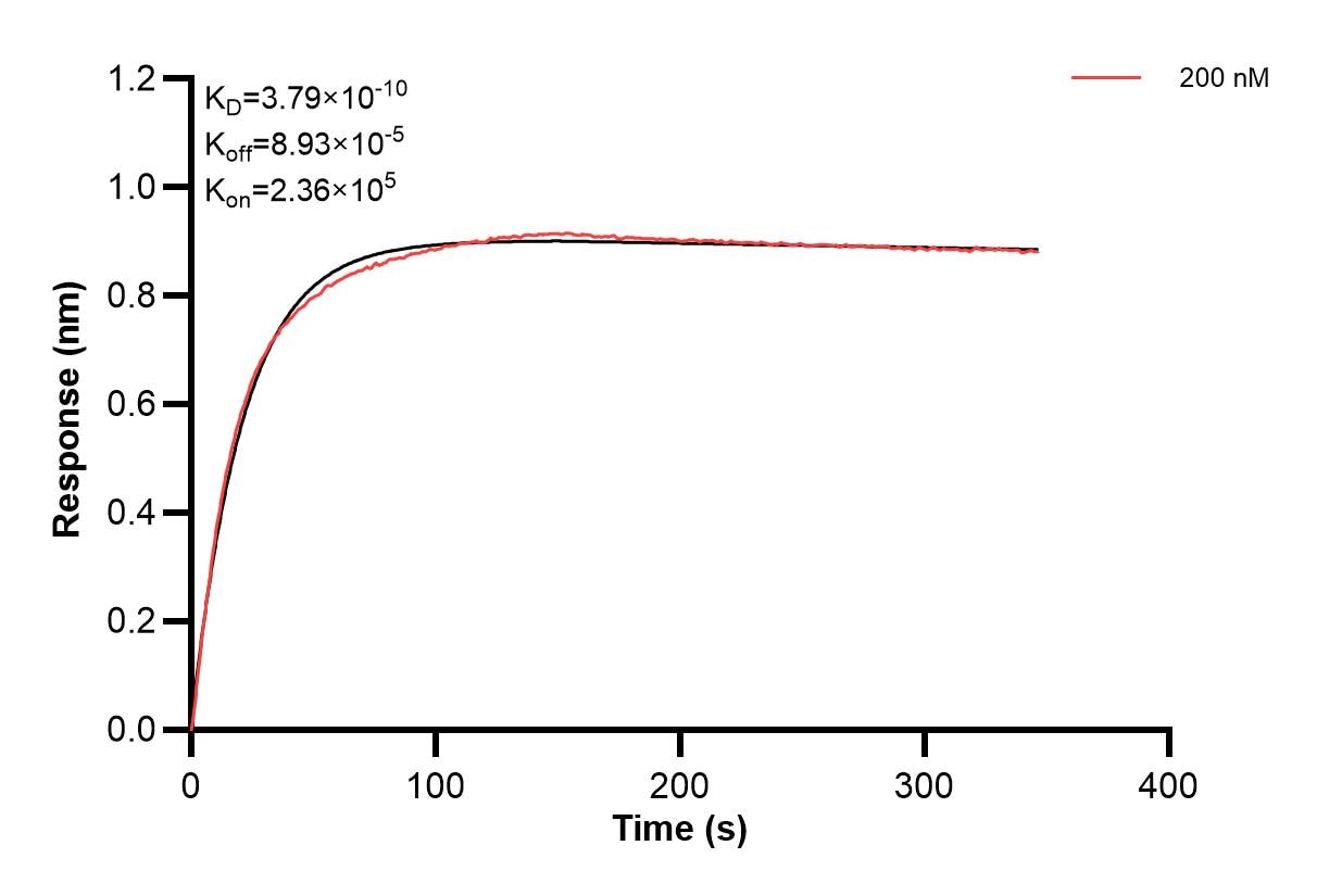 Affinity of 81789-2-PBS