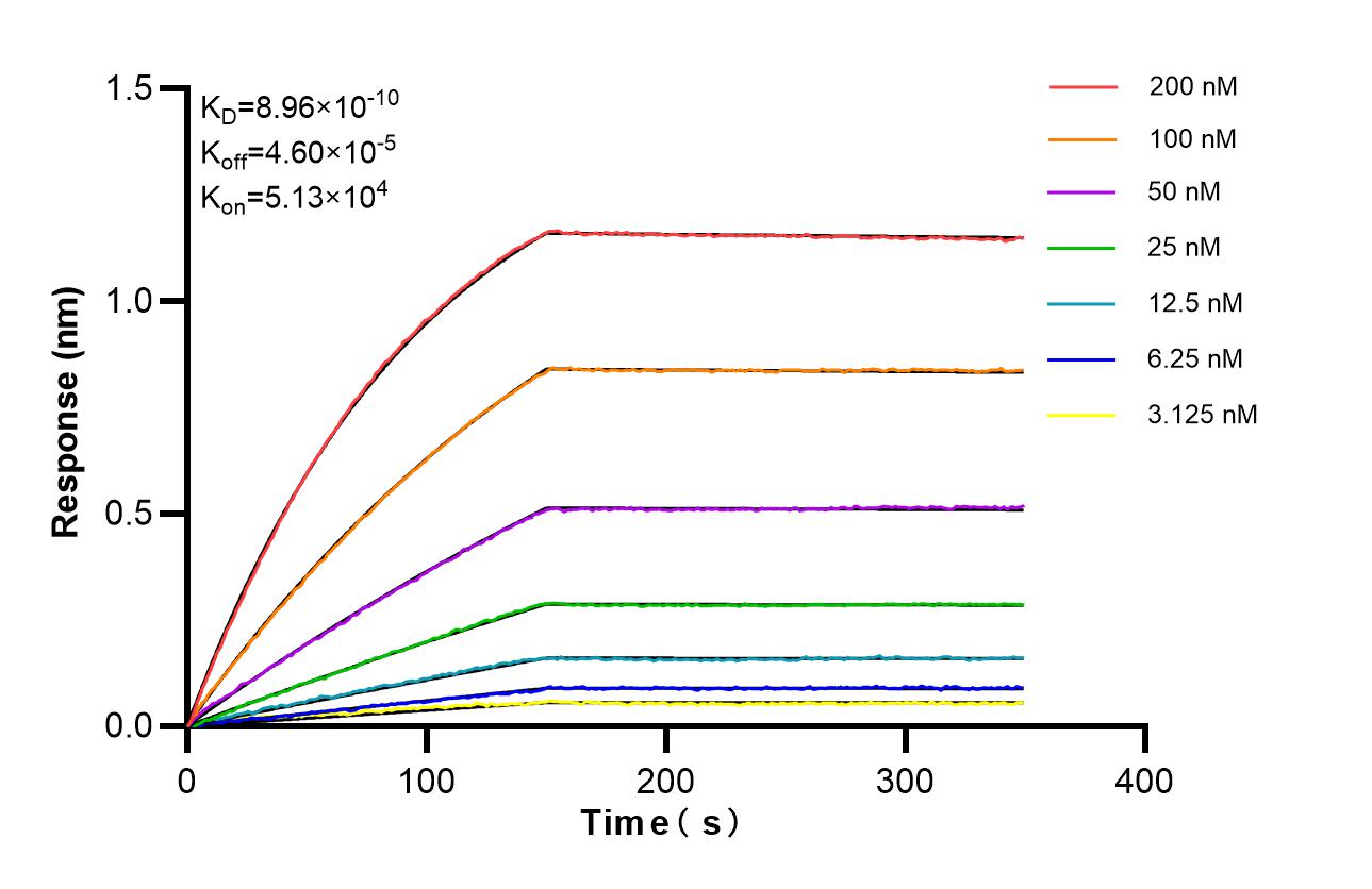 Affinity of 81793-14-RR Affinity of 81793-14-RR
