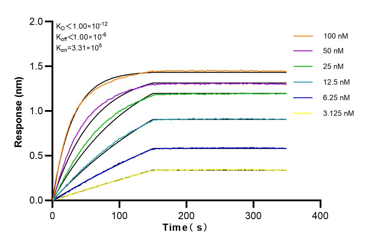 Affinity and Kinetic Characterization of 81833-1-PBS