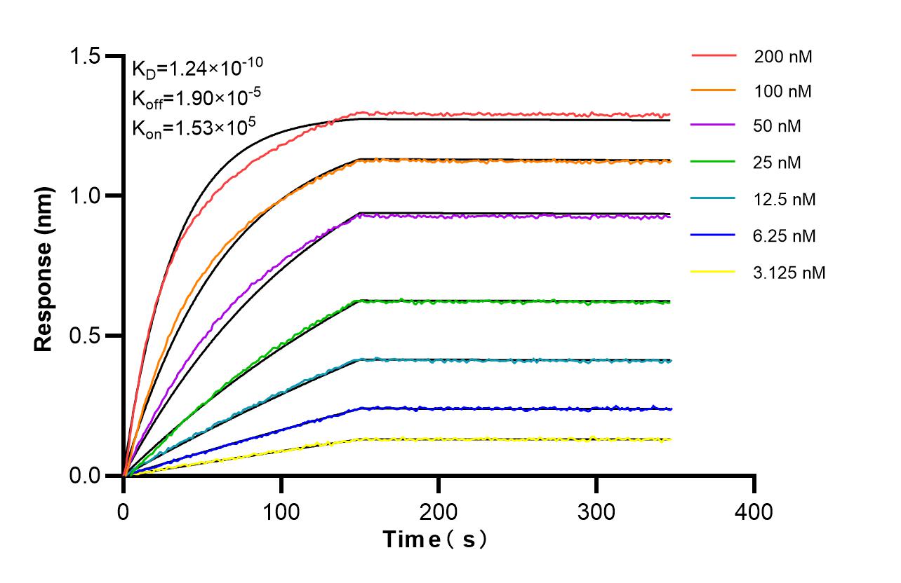 Affinity and Kinetic Characterization of 82012-2-RR