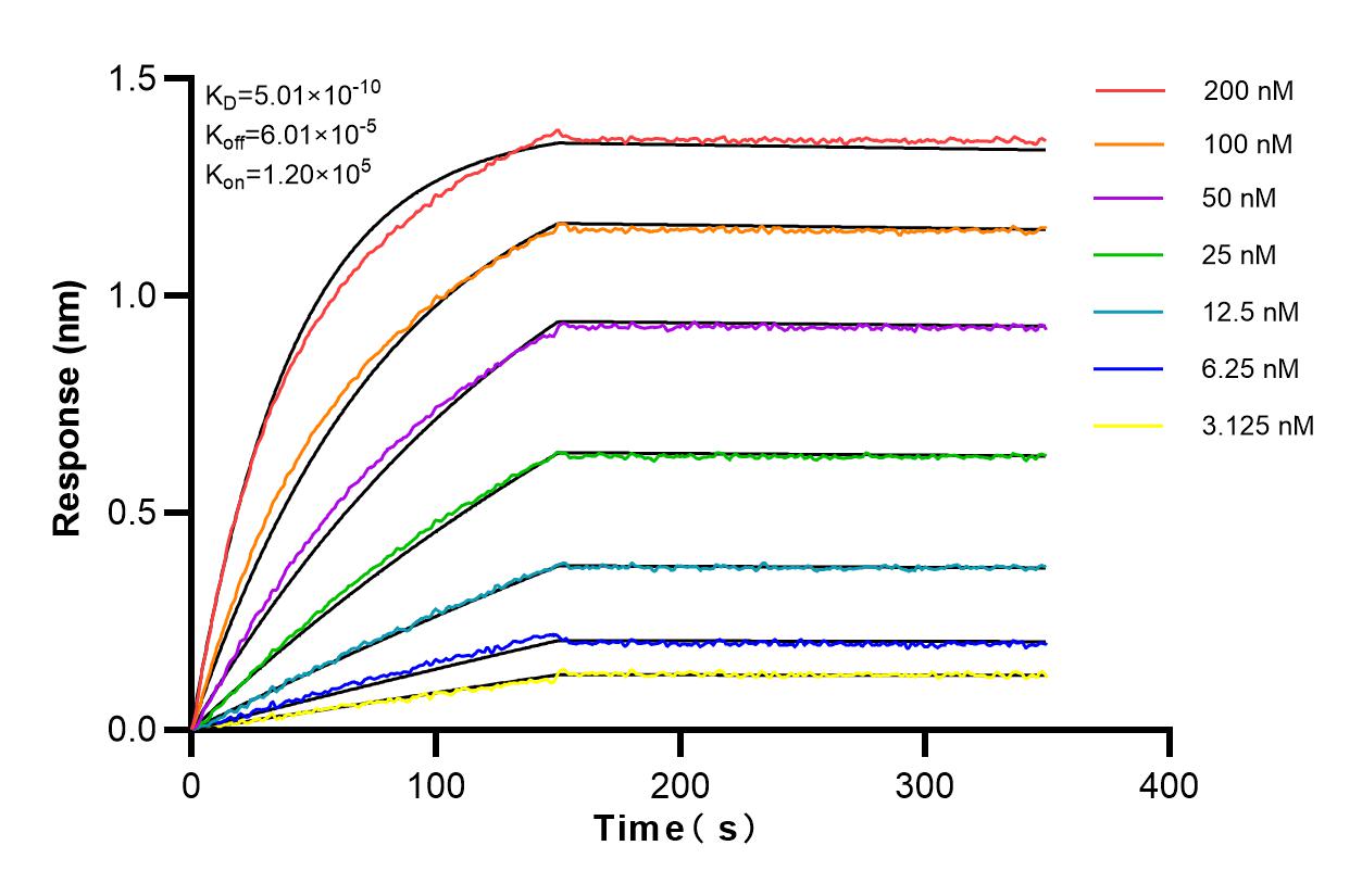 Affinity and Kinetic Characterization of 82016-1-PBS