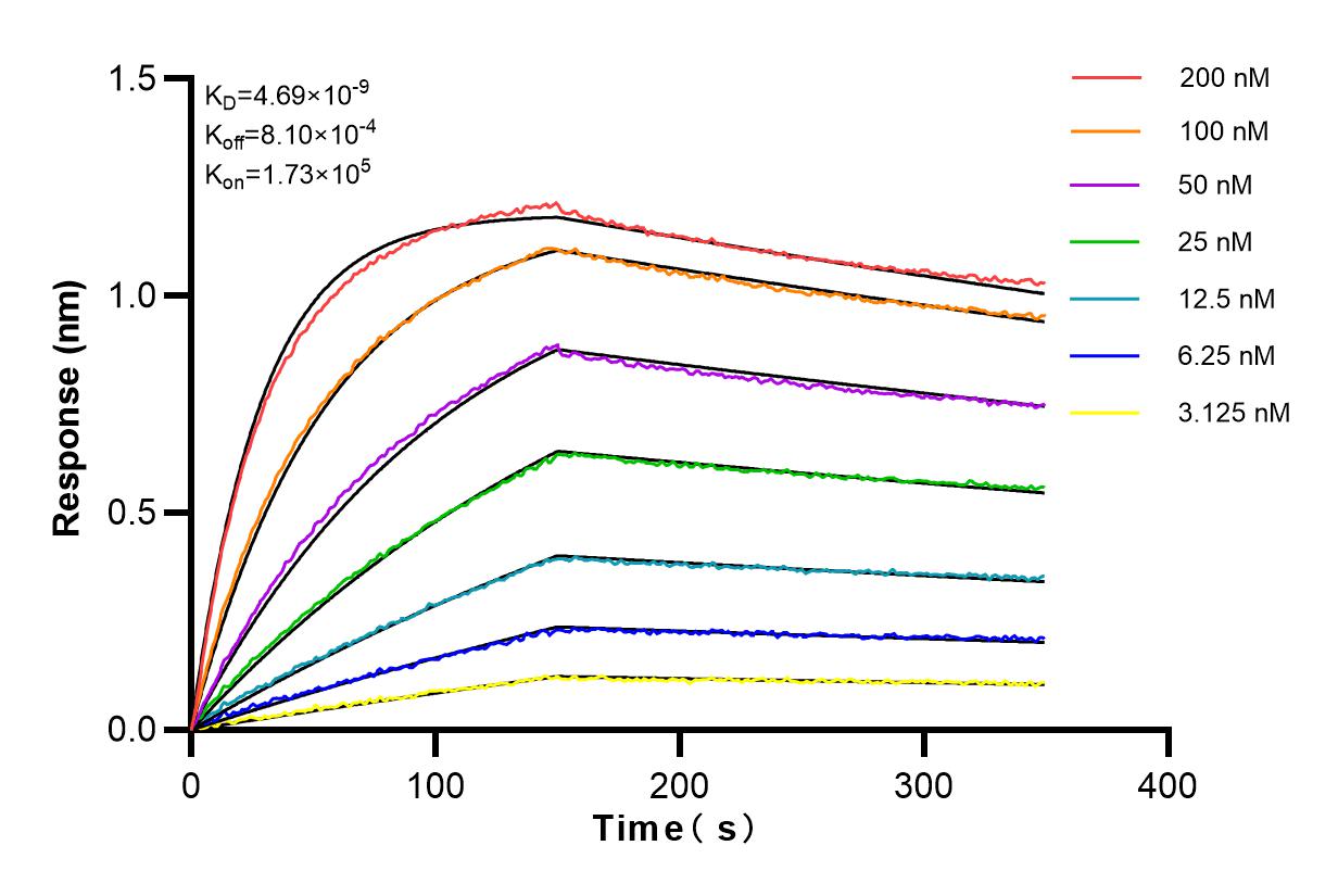 Affinity and Kinetic Characterization of 82080-6-RR