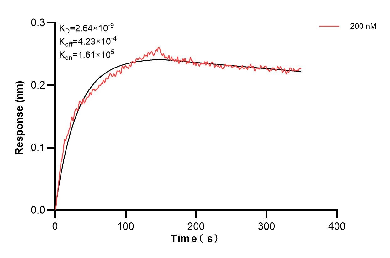 Affinity and Kinetic Characterization of 82118-3-PBS