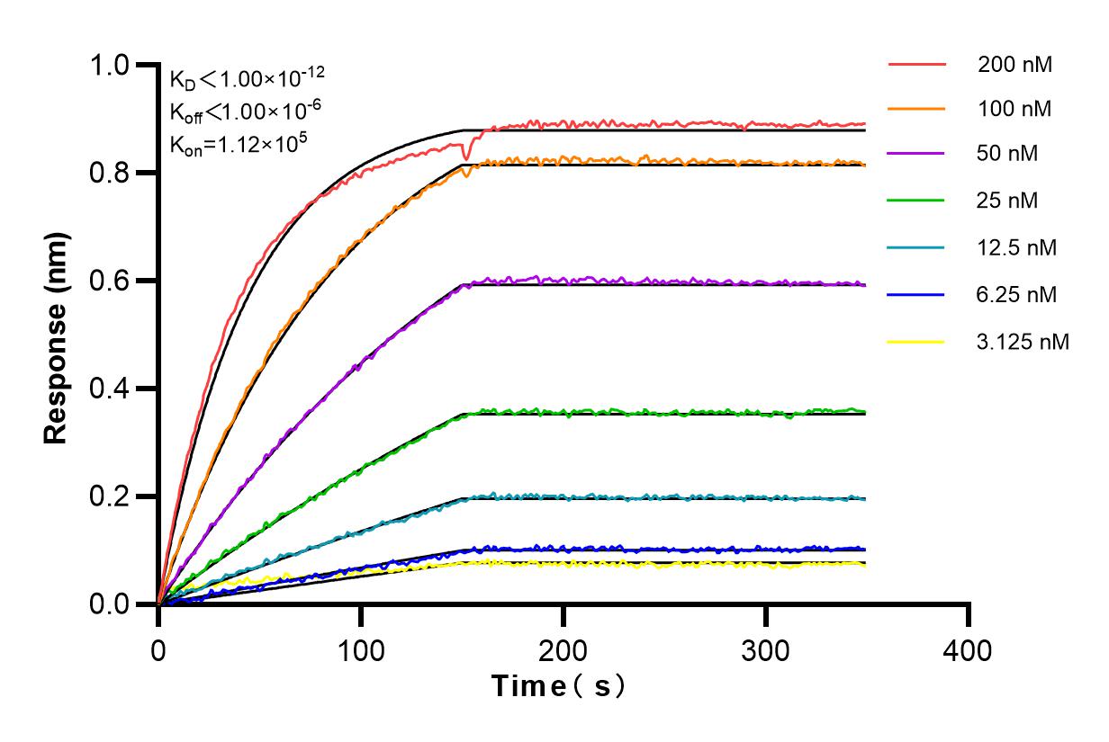 Affinity and Kinetic Characterization of 82148-1-PBS