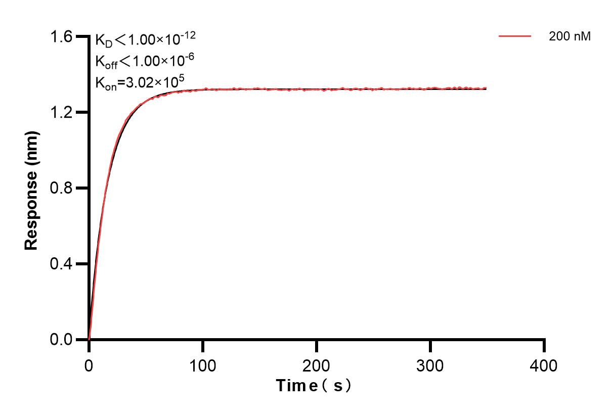 Affinity and Kinetic Characterization of 82685-19-PBS