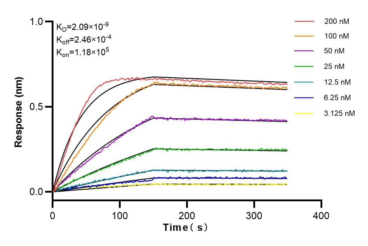 Affinity and Kinetic Characterization of 82696-15-PBS