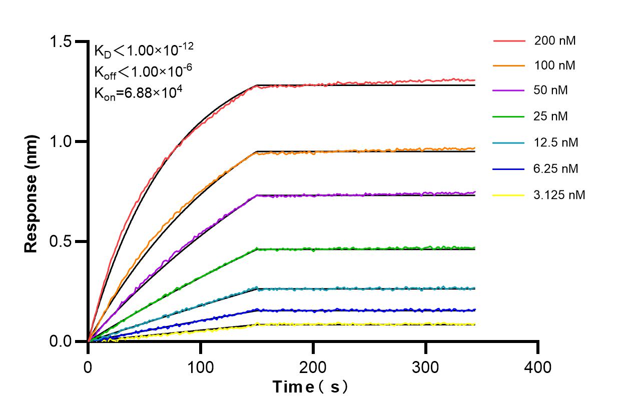 Affinity and Kinetic Characterization of 82699-7-RR