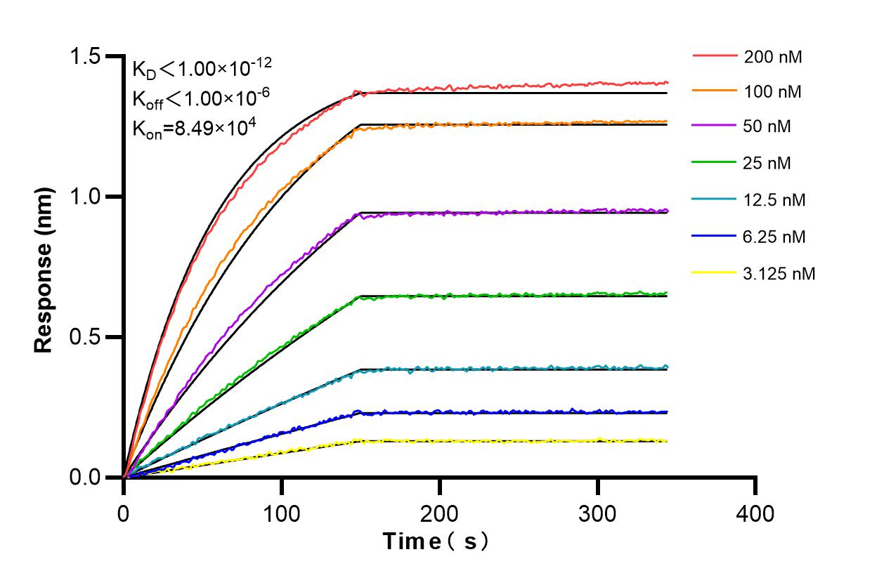 Affinity and Kinetic Characterization of 82720-14-RR