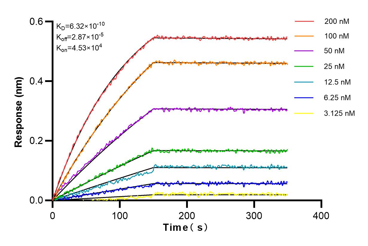 Affinity and Kinetic Characterization of 82744-2-RR