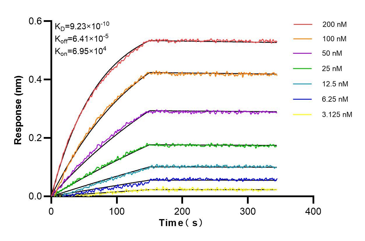 Affinity and Kinetic Characterization of 82750-2-RR