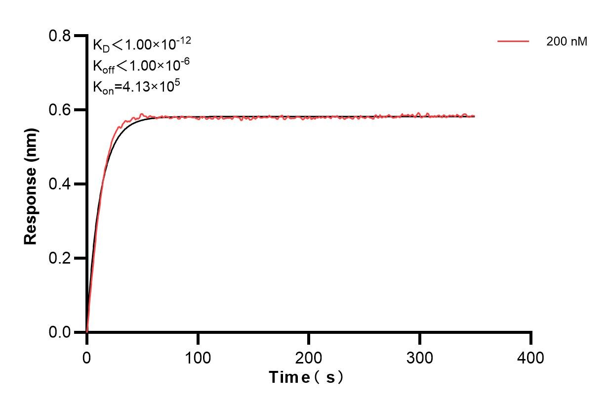 Biolayer interferometry (BLl) kinetic assay of 82766-11-PBS against Human IL-22 was performed. The affinity constant is below 1 pM. Affinity and Kinetic Characterization of 82766-11-PBS