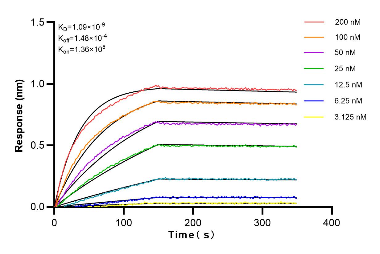 Affinity and Kinetic Characterization of 82790-2-RR
